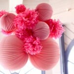 IMG_1063 IMG_1063