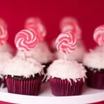 IMG_1281 IMG_1281