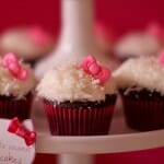 IMG_1313 IMG_1313