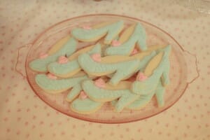 IMG_2528 IMG_2528