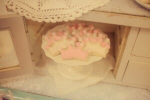 IMG_2542 IMG_2542
