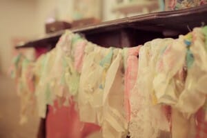 IMG_2559 IMG_2559