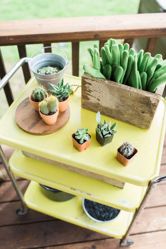 Cactus Party | how to make terrariums | spring party ideas | summer party ideas | ladies get together ideas | women's event ideas || JennyCookies.com #ladiesparty #terrariums #summerparty