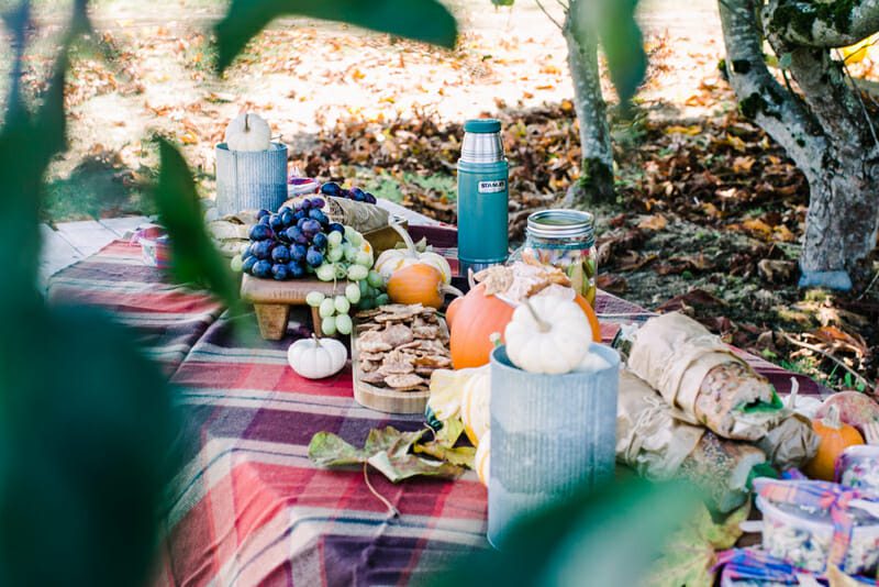 How to Host a Ladies Lunch at the Pumpkin Patch | fall lunch ideas | hosting a fall ladies lunch | ladies lunch ideas | fall party ideas | fall get togethers | pumpkin patch party ideas | fall lunch ideas || JennyCookies.com #ladieslunch #fallparty #pumpkinpatch