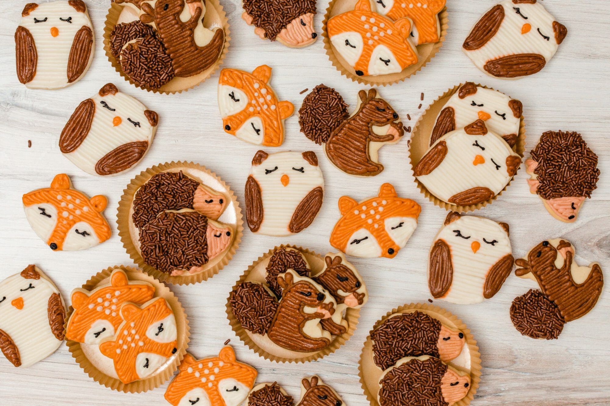How To Decorate Woodland Animal Sugar Cookies