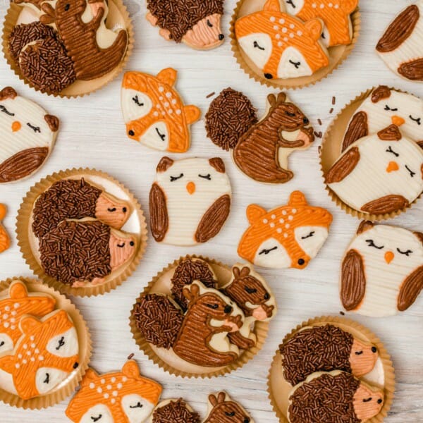 How to Decorate Woodland Animal Sugar Cookies