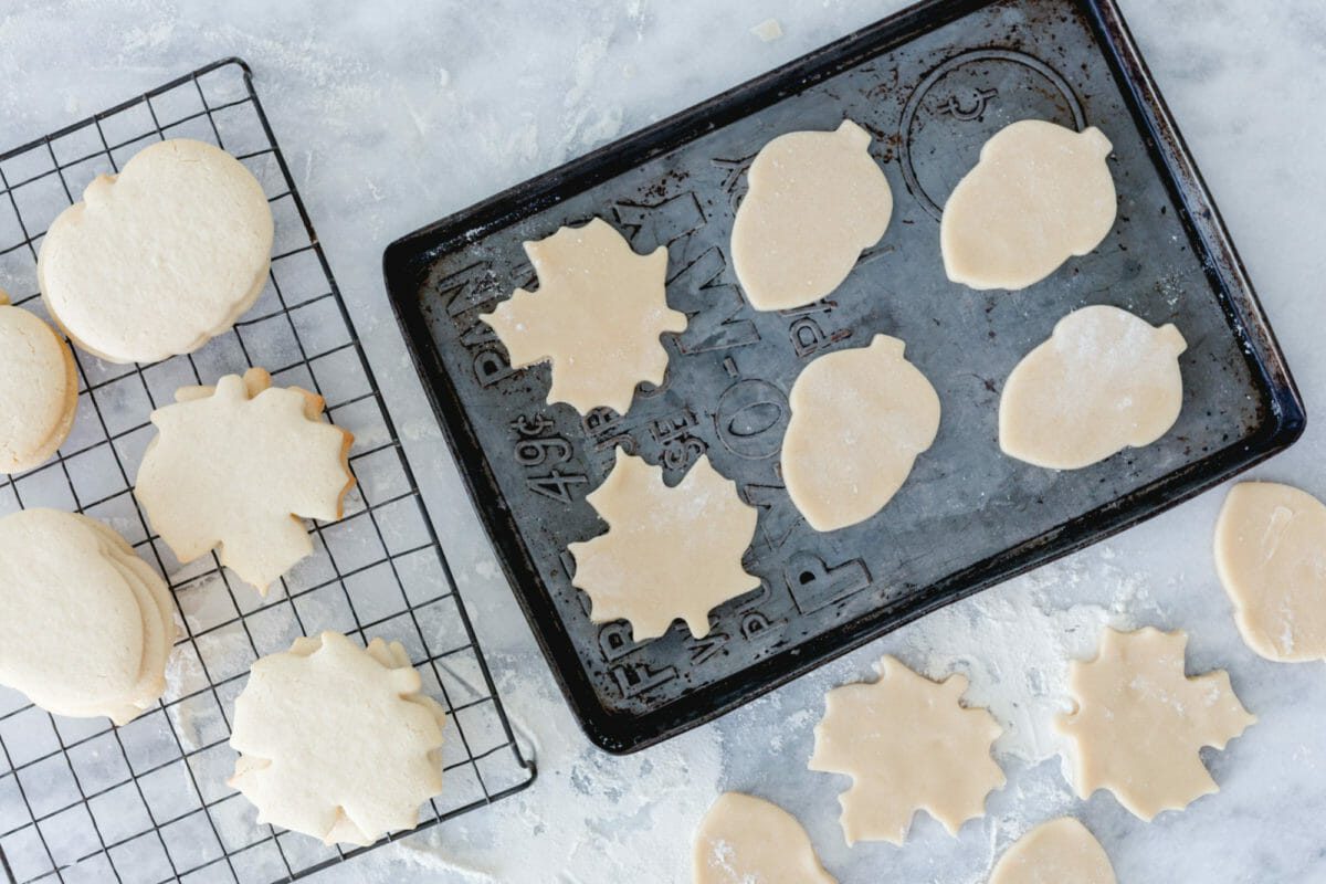 Dipped Sugar Cookies - Jenny Cookies