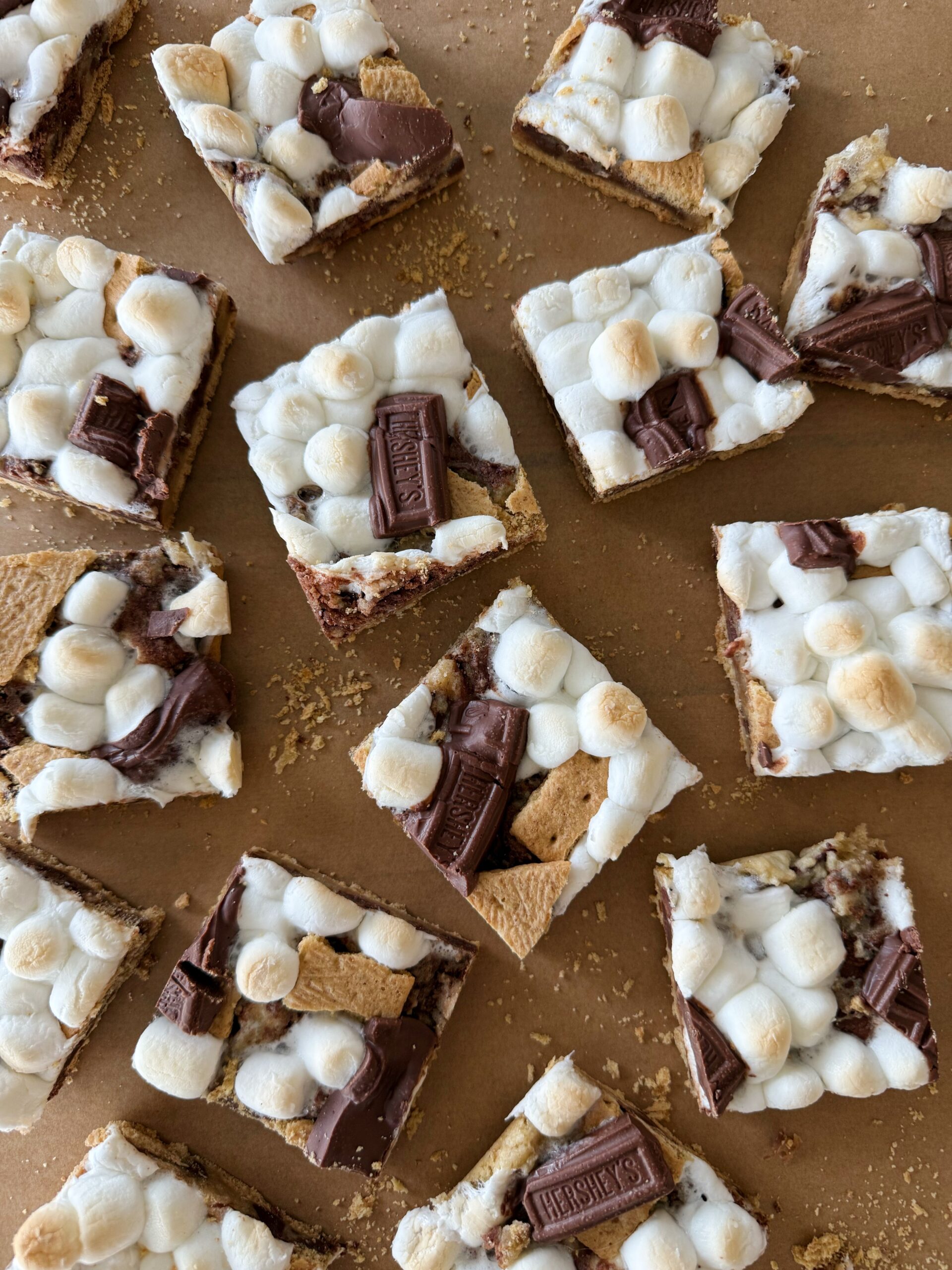 Easy S’mores Bars (No Campfire Needed!)