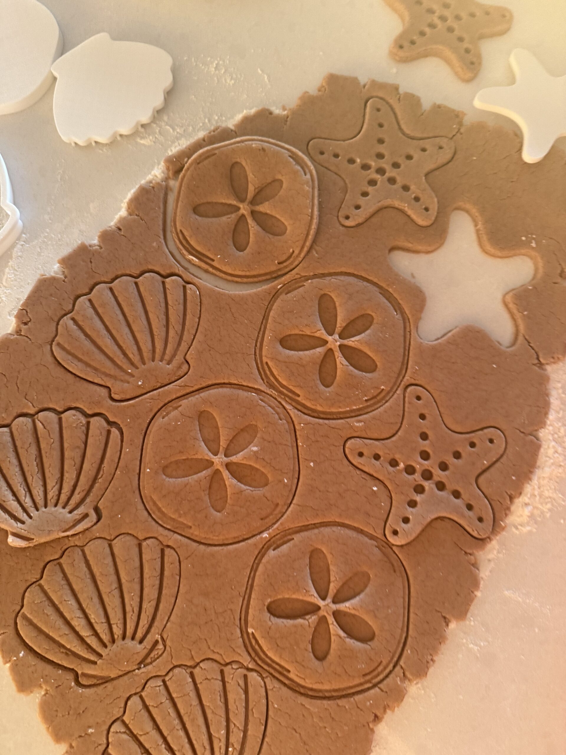 seashell sugar cookie