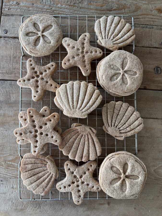 cinnamon sugar seashell cookies
