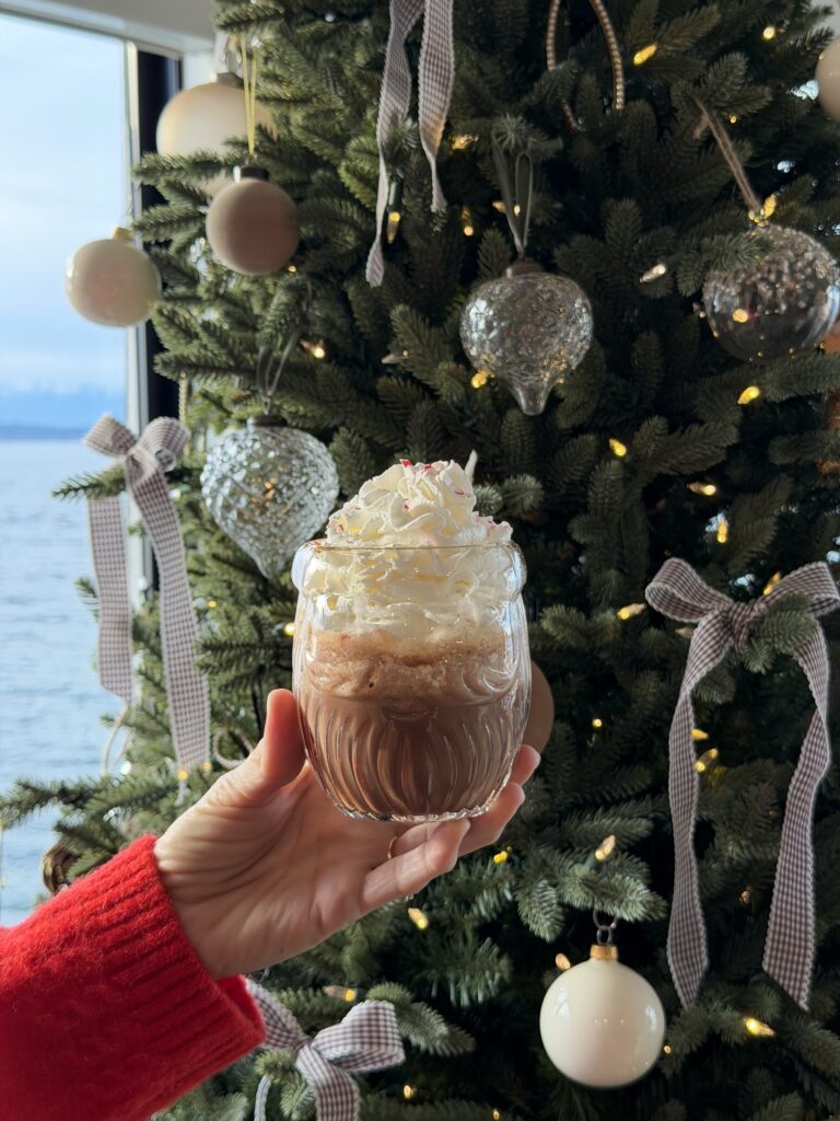 Peppermint Protein Hot Cocoa (Healthy High-Protein Hot Chocolate Recipe)