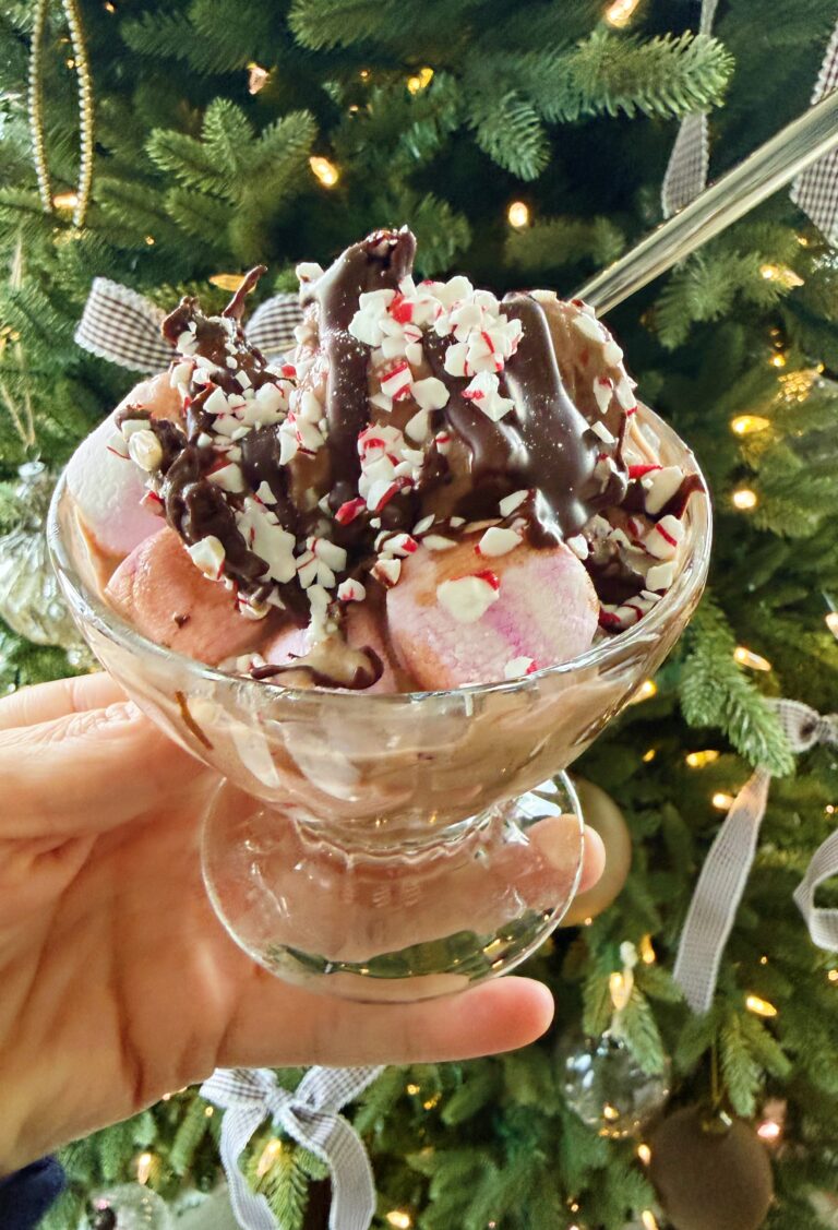 Chocolate Peppermint Protein Freeze