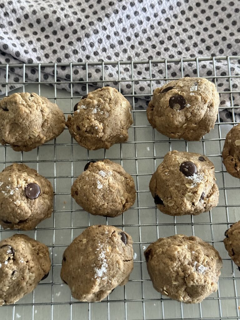 PB Bliss Chocolate Protein Cookies