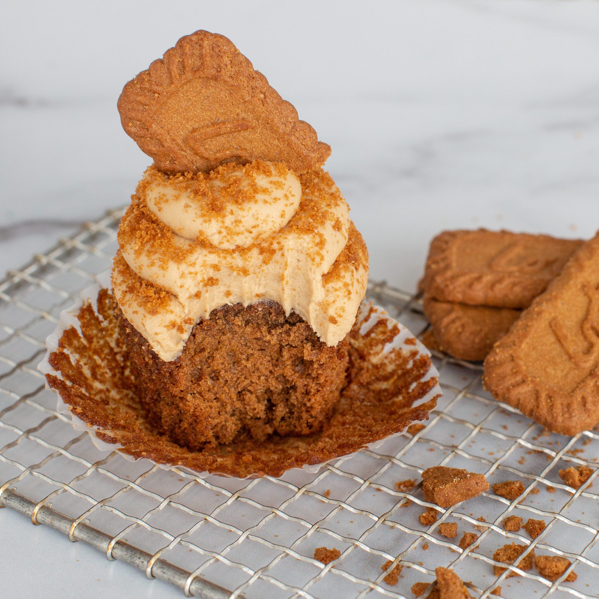 Cookie Butter Cupcakes - Jenny Cookies