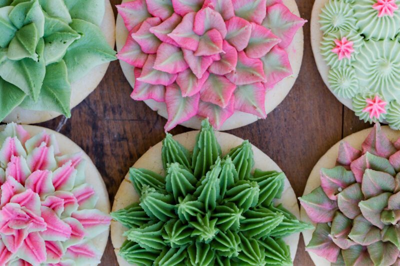 succulent sugar cookies