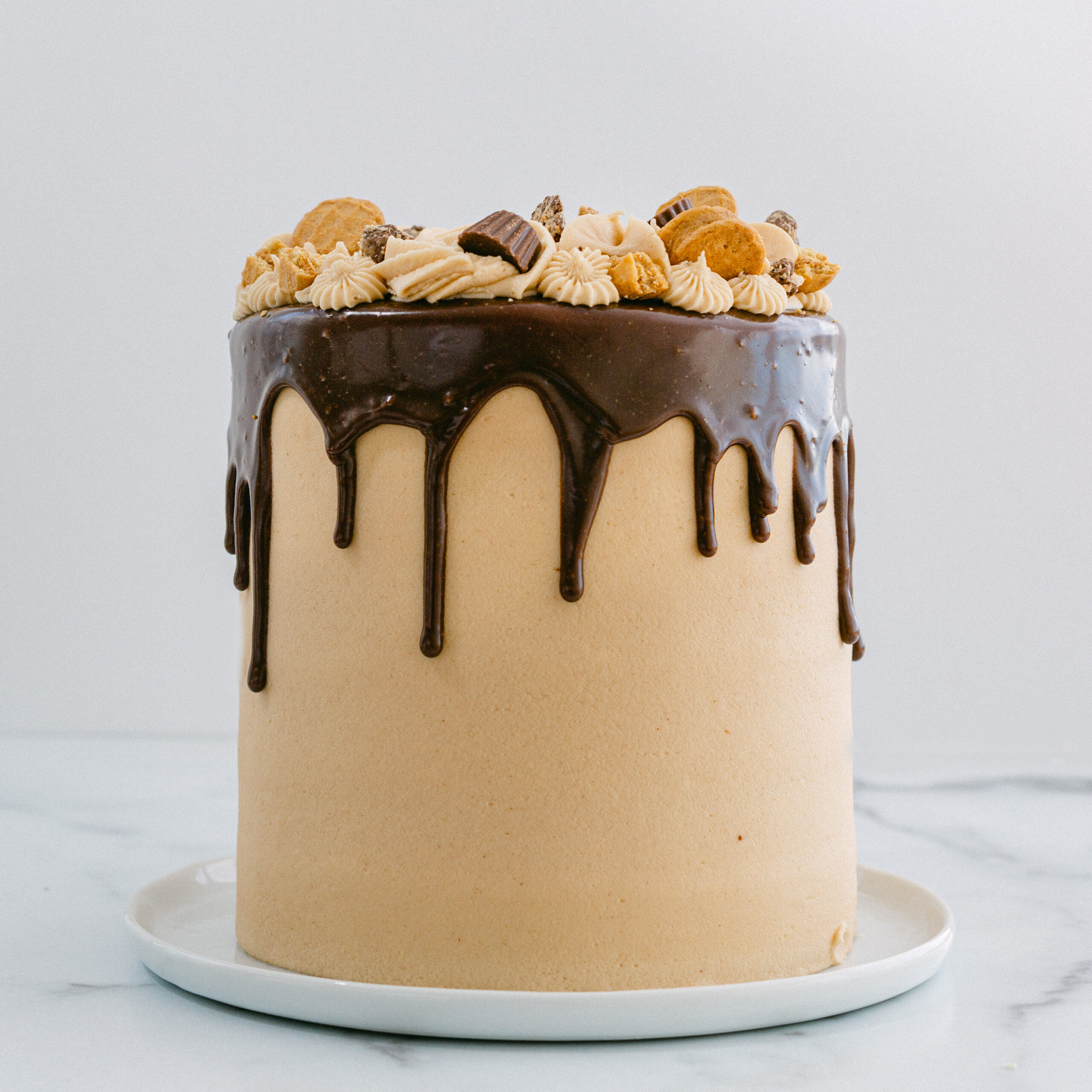 Chocolate Peanut Butter Cake