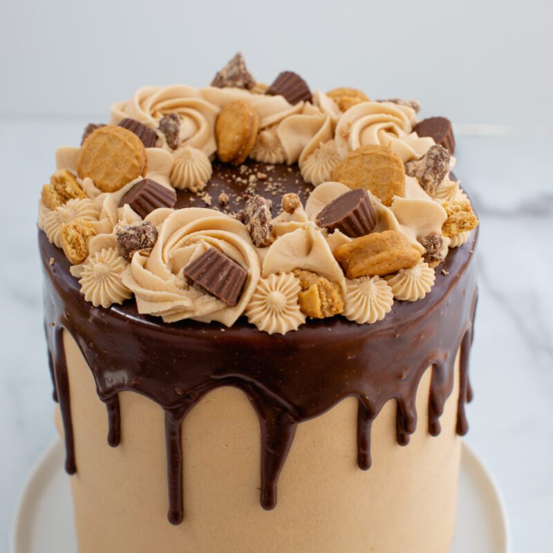 chocolate peanut butter cake
