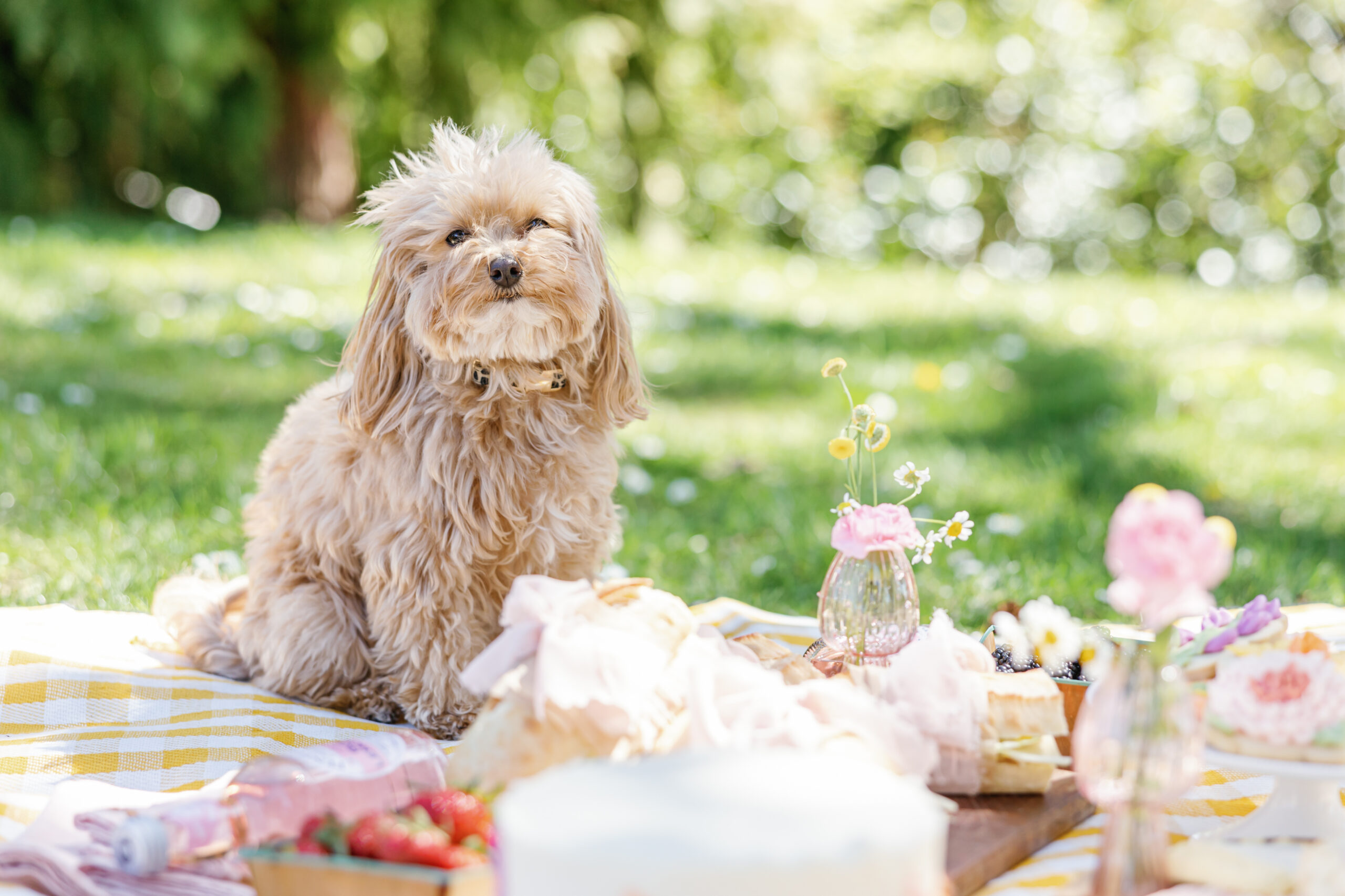 Simple Picnic Ideas for Spring