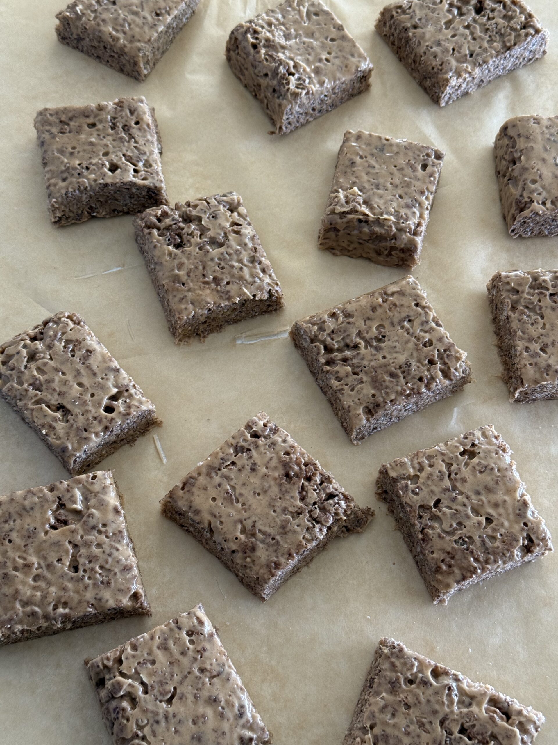 Gooey Chocolate Peanut Butter Protein Rice Krispie Treats