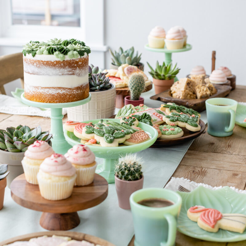 succulent themed dessert table